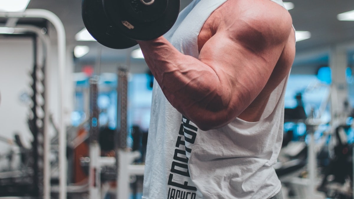 Esercizi per Migliorare la Forma Fisica